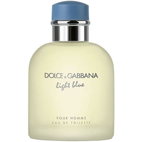 d&g light blue perfume.